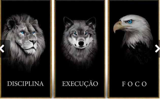 Discipline. Execution. Focus. – Motivational Animal Wall Art Set