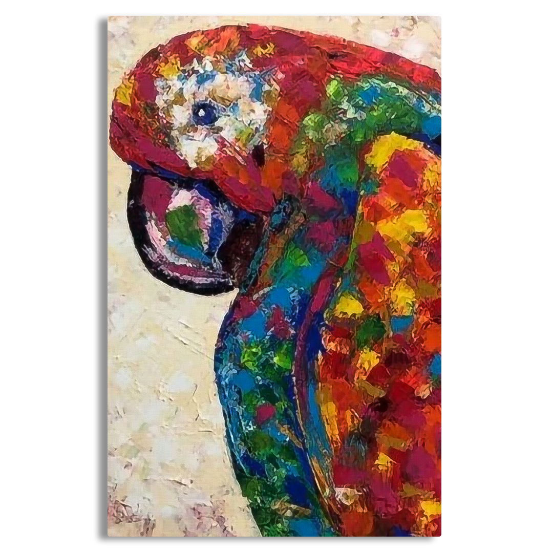 Abstract Parrot Bird Canvas Frames Wall Art
