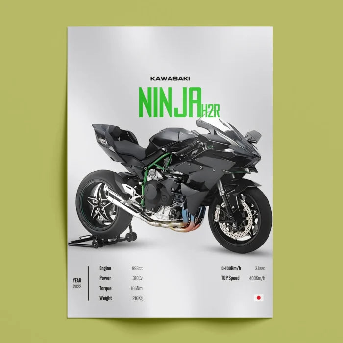 Kawasaki Ninja Wall Art