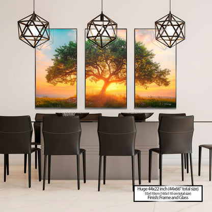 Tree at Dusk - 3 Parts