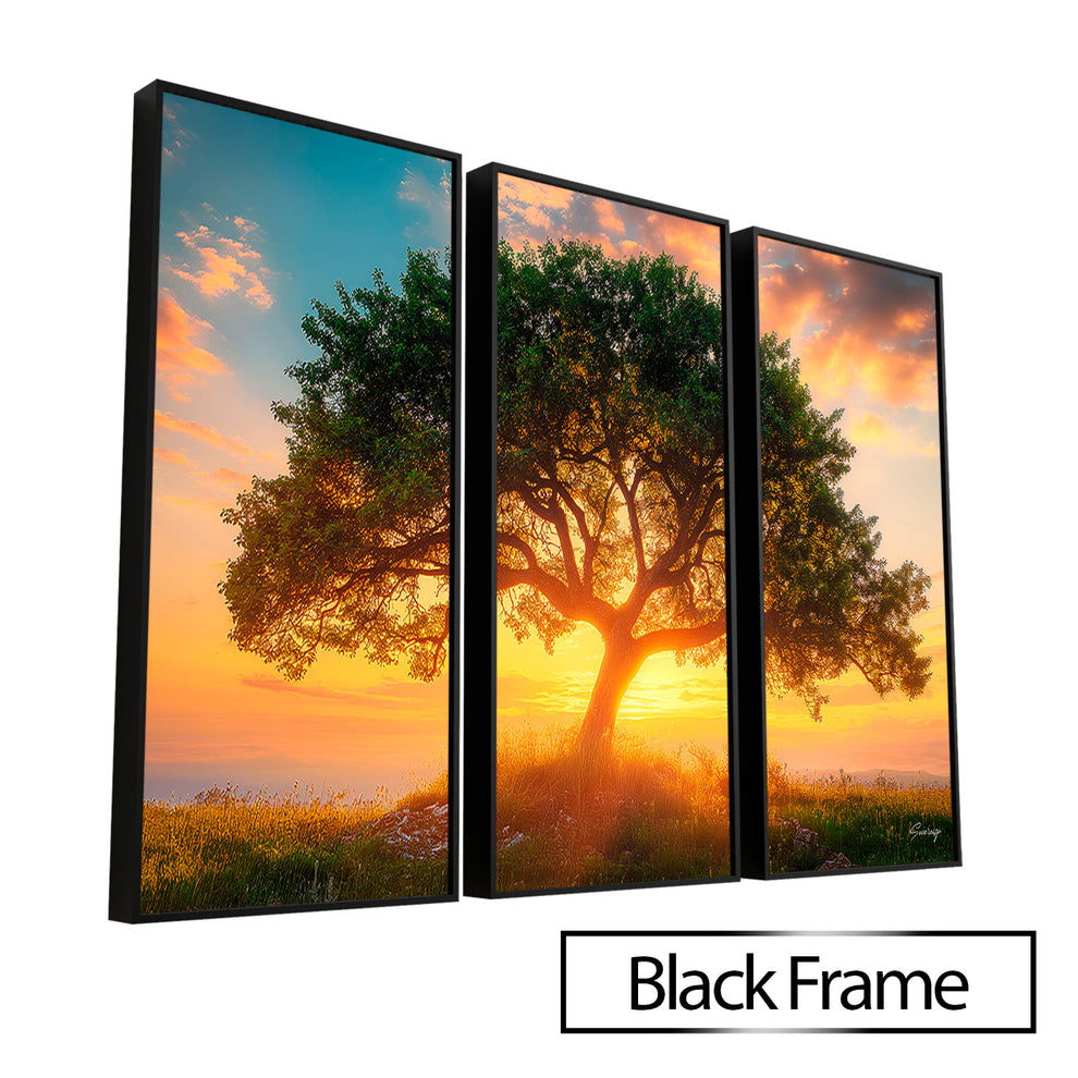 Tree at Dusk - 3 Parts