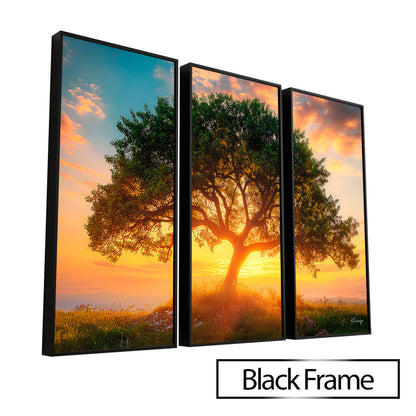 Tree at Dusk - 3 Parts