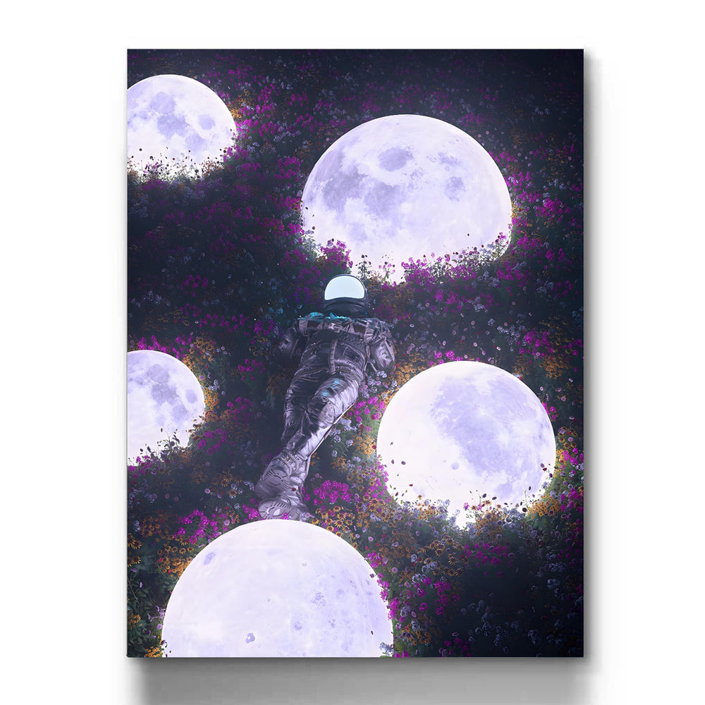 Field of Celestial Blooms