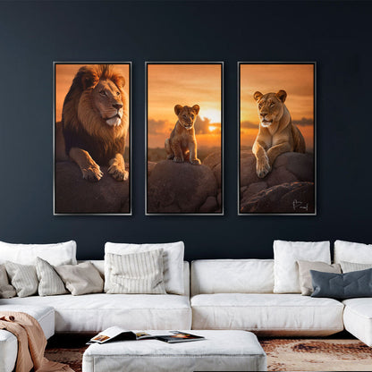 Lion Family - 3 Parts
