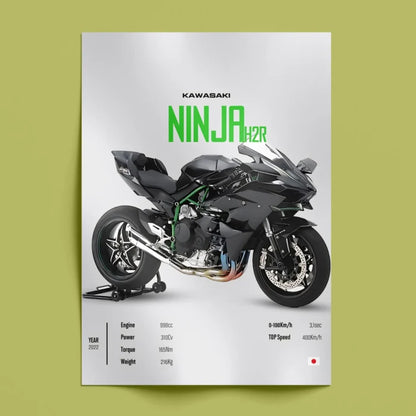 Kawasaki Ninja Wall Art