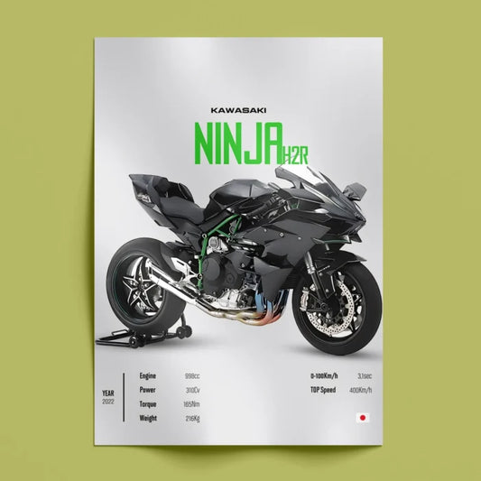 Kawasaki Ninja Wall Art