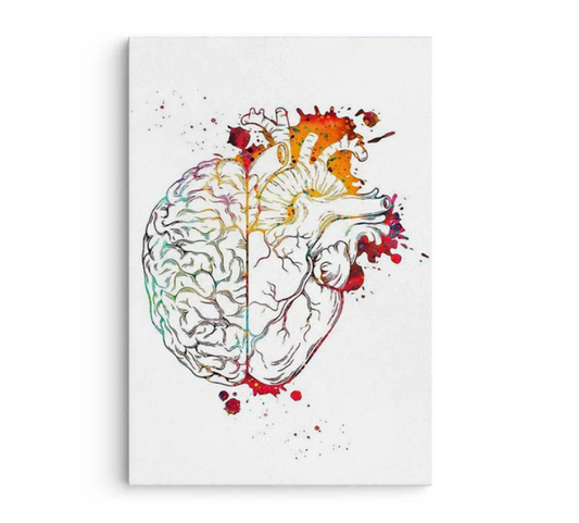 Heart and Brain
