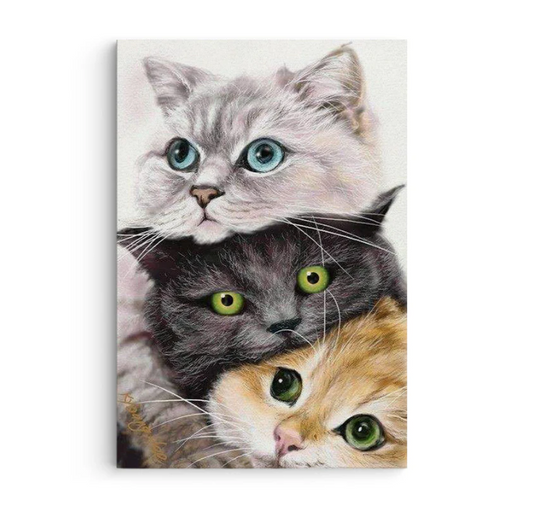Three Cute Cats