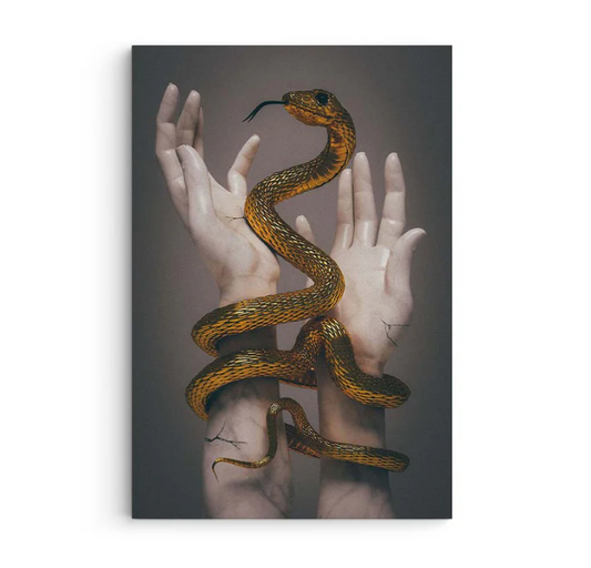Snake Charm