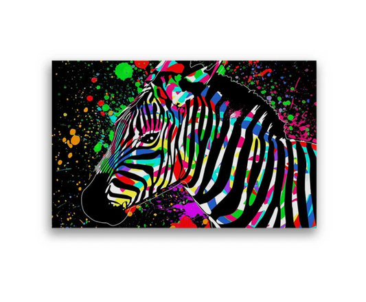 Colorful Zebra