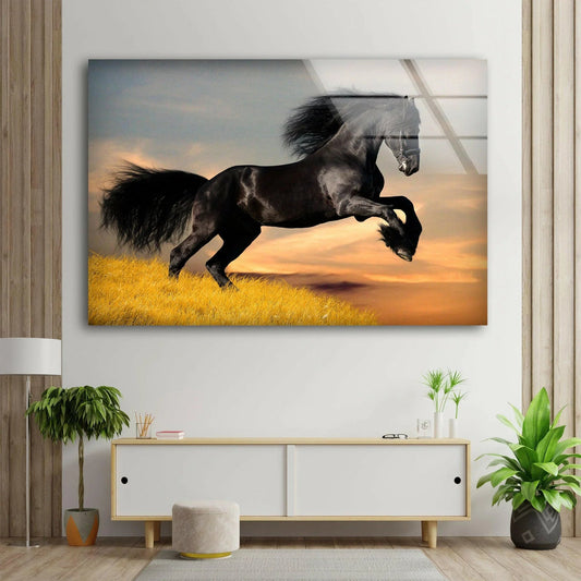 Big Black Horse Glass | Wall Art
